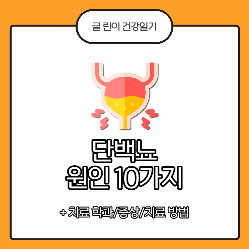  단백뇨 원인 10가지