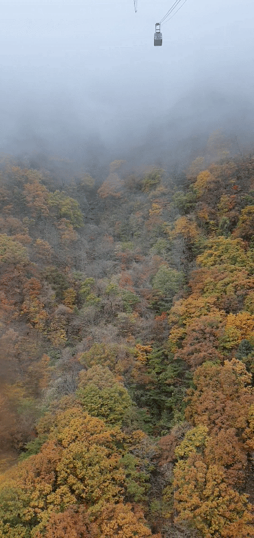 설케3.gif