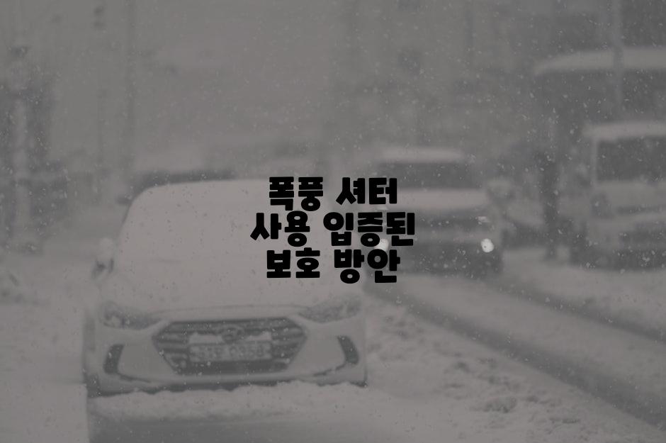 폭풍 셔터 사용 입증된 보호 방안