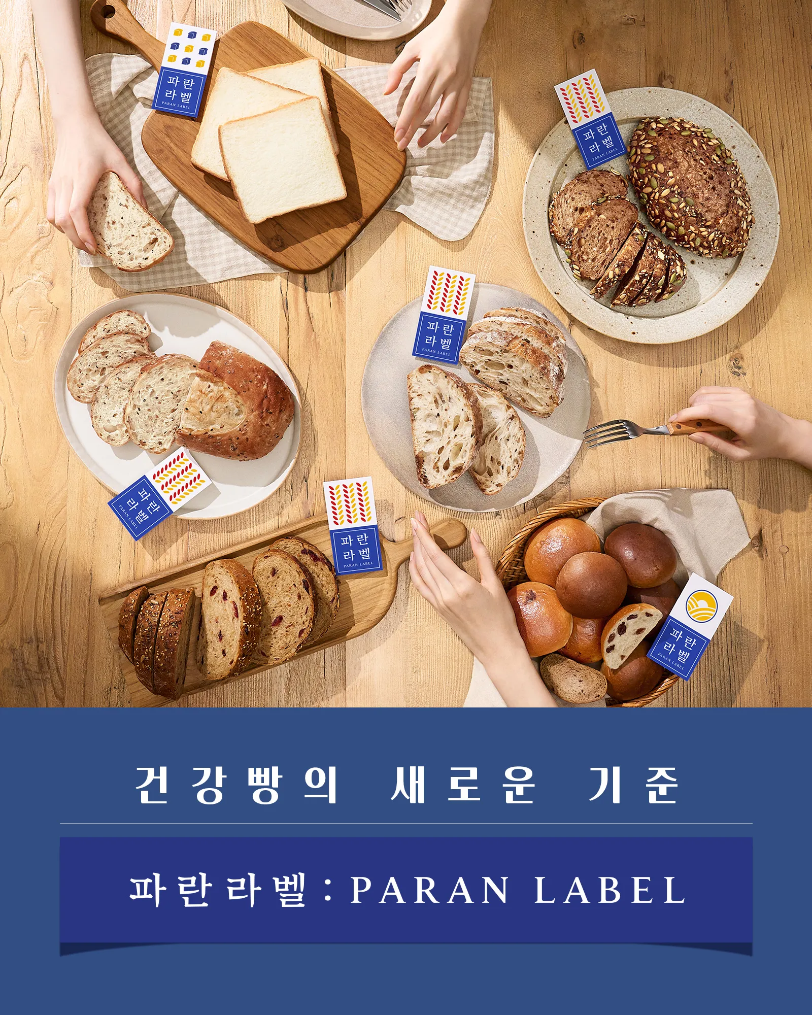 파리바게뜨 파란라벨 론칭 건강빵_4