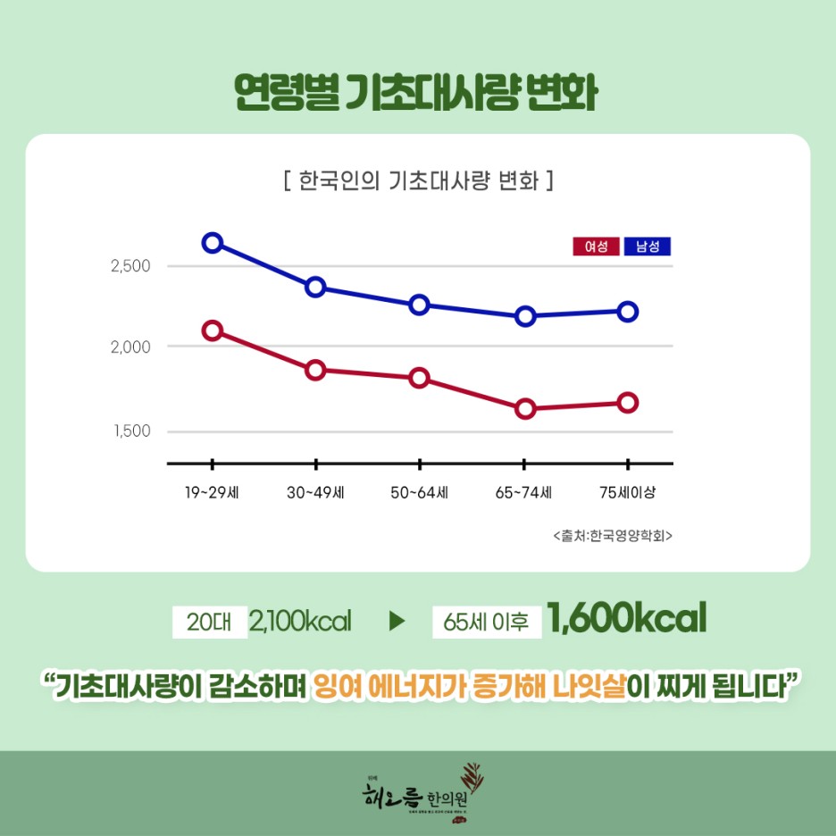나잇살찌는이유 체질을 9
