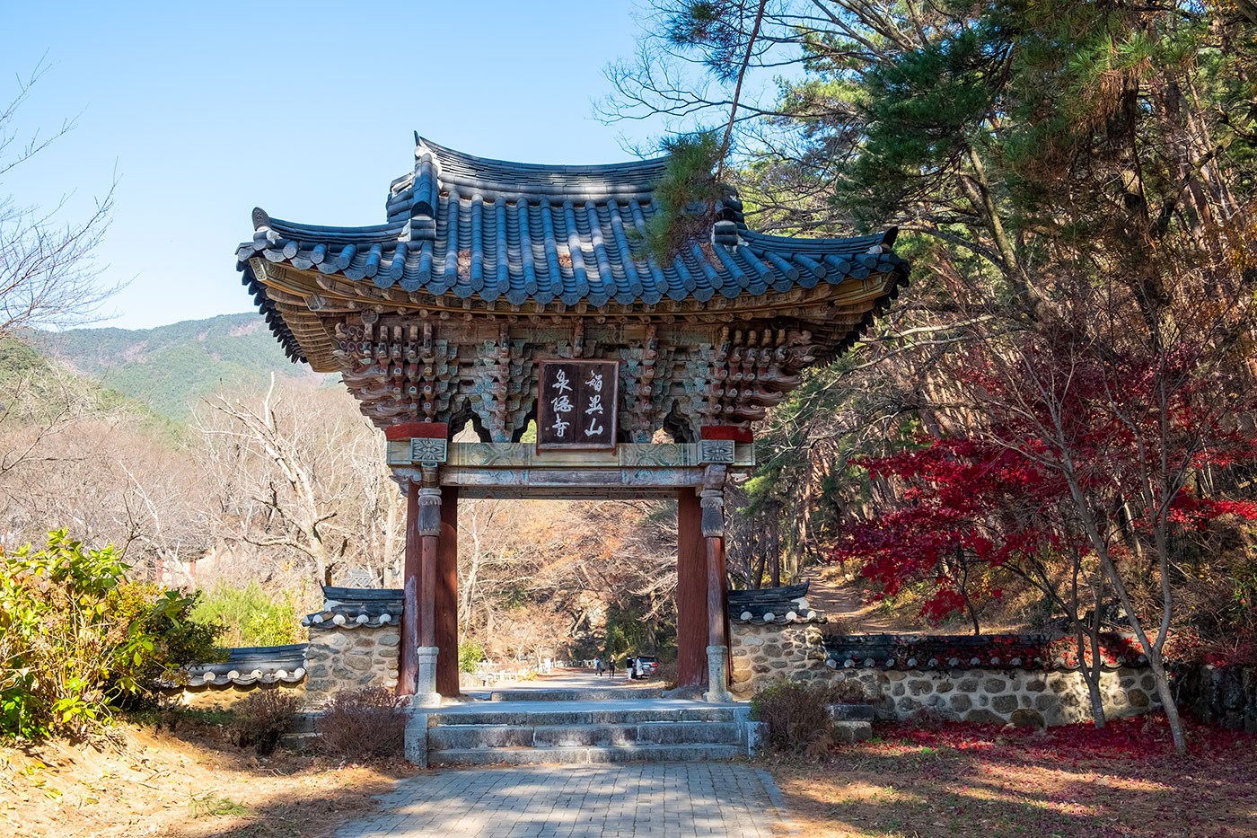  11/30 천은사
