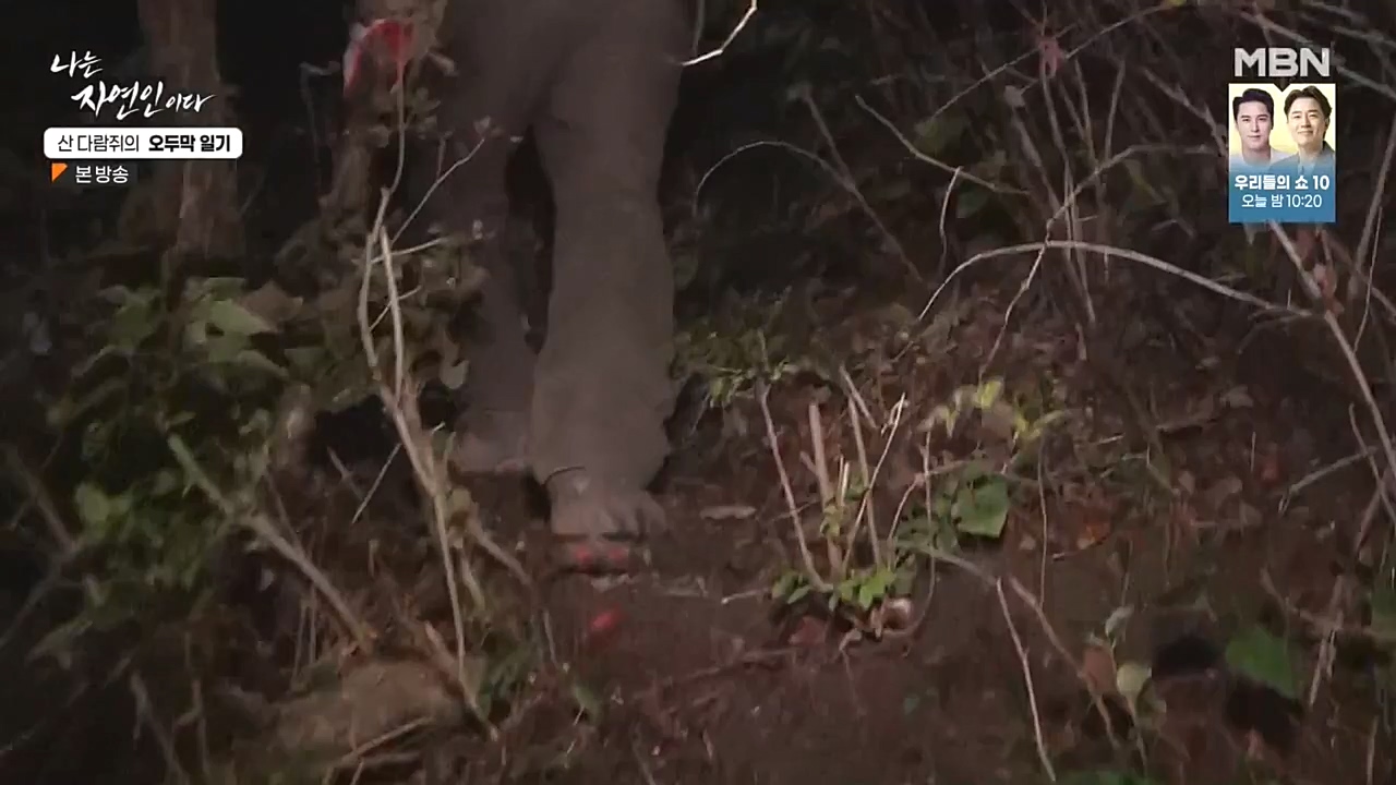 나는 자연인이다.E525.221027p-NEXT.mp4_20221027_192755.093.jpg