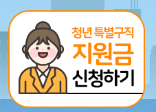  청년 특별구직지원금