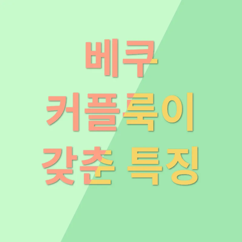 베쿠 커플룩_1