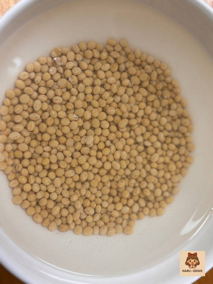 콩나물콩 8시간 불리기 시작 사진Washed sprout soybeans starting 8-hour soaking for growing kongnamul