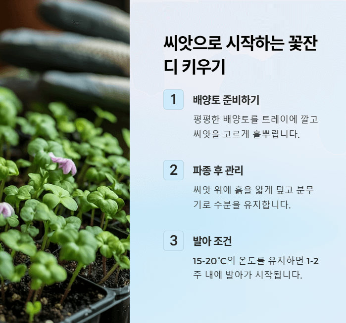꽃잔디 심는시기