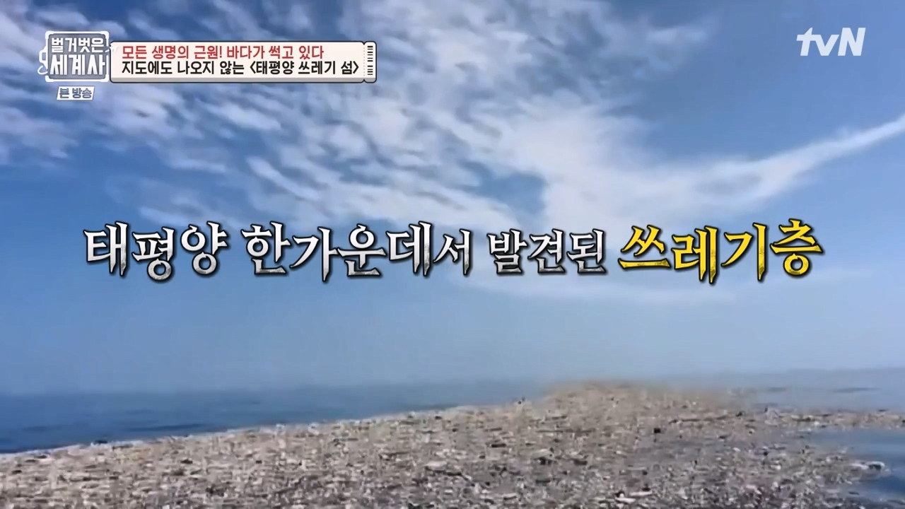 벌거벗은 세계사.E90.230315p-NEXT.mp4_20230419_204304.487.jpg
