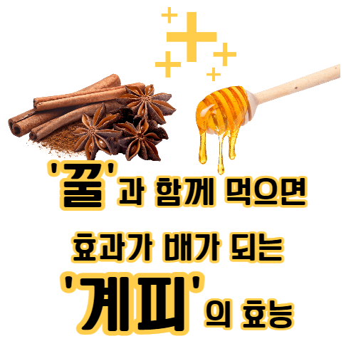 계피의효능