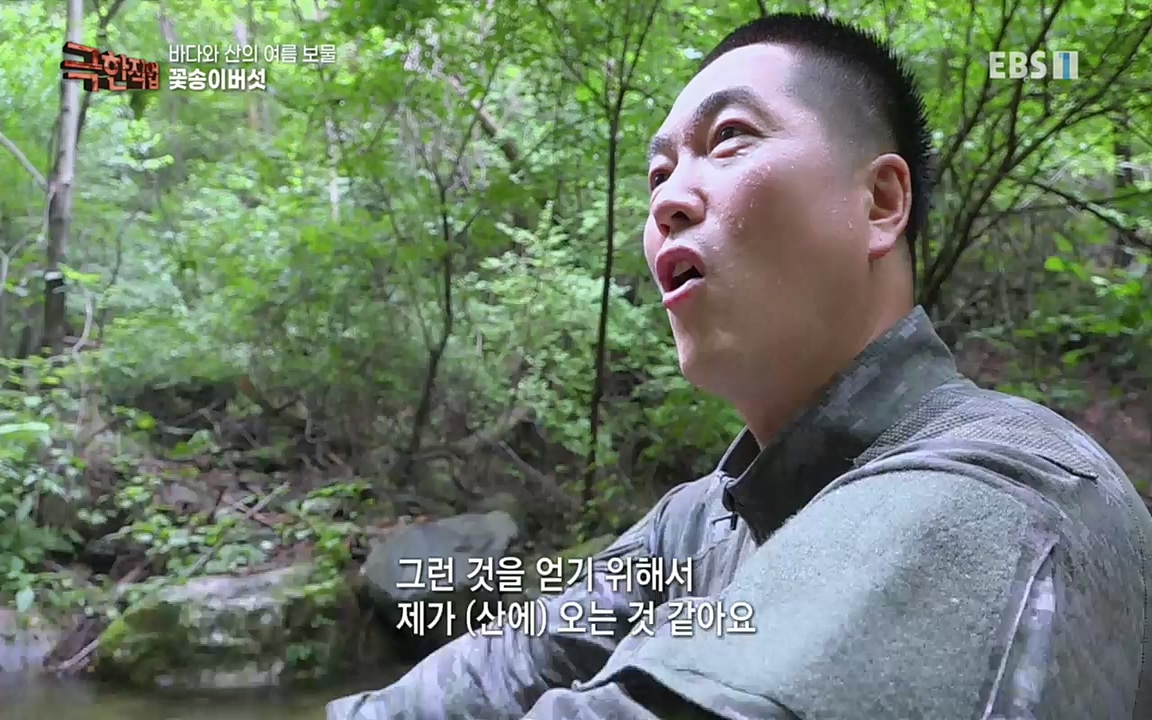 TV - 교육의 중심 EBS바다와 산의 여름 보물, 갯바위 미역 & 꽃송이버섯.mp4_20220828_145332.667.jpg