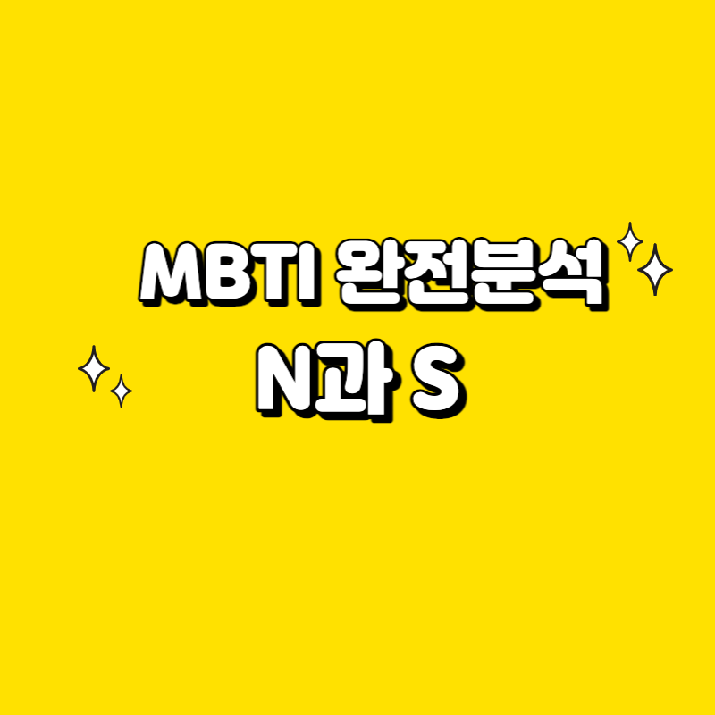  MBTI 바로 하고 확인할 수 있는 방법2, N과 S