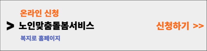 노인맞춤돌봄서비스