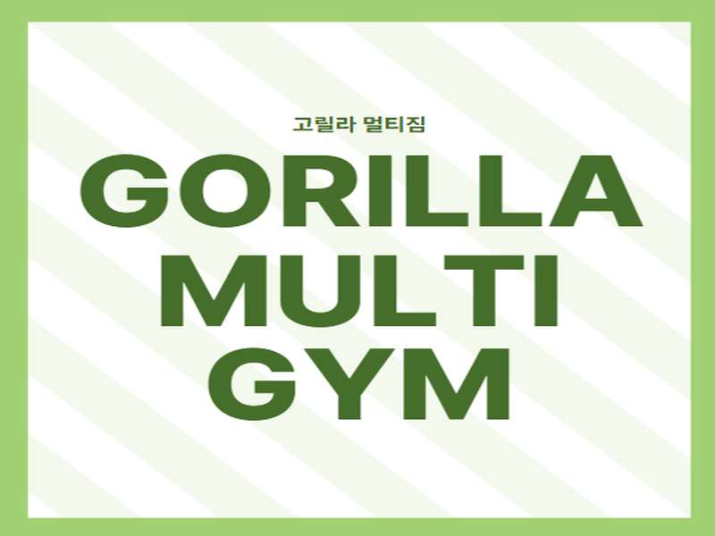 2. 고릴라멀티짐 행당점 소개