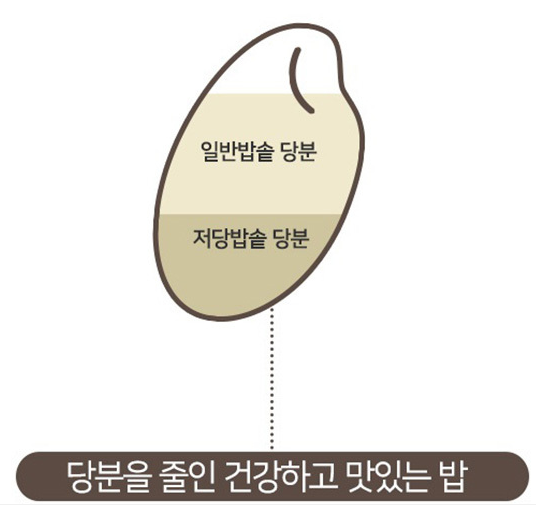 혈당 저당밥솥 다이어트