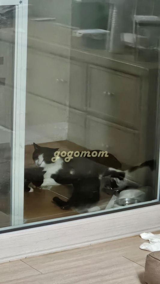 양양쏠비치