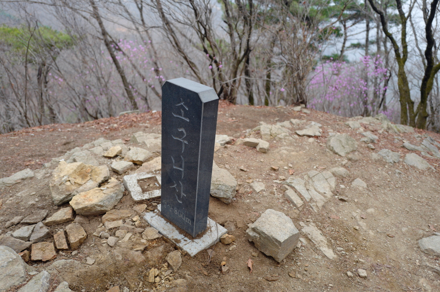 경기 양평 가평 여행 유명산 등산 mountain hiking