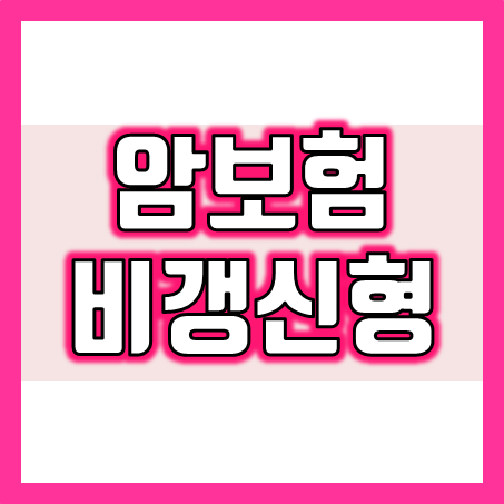  실버암보험 추천 : 노인 부모님 가입 시 적합한 암보험비갱신형 비교 해보세요.
