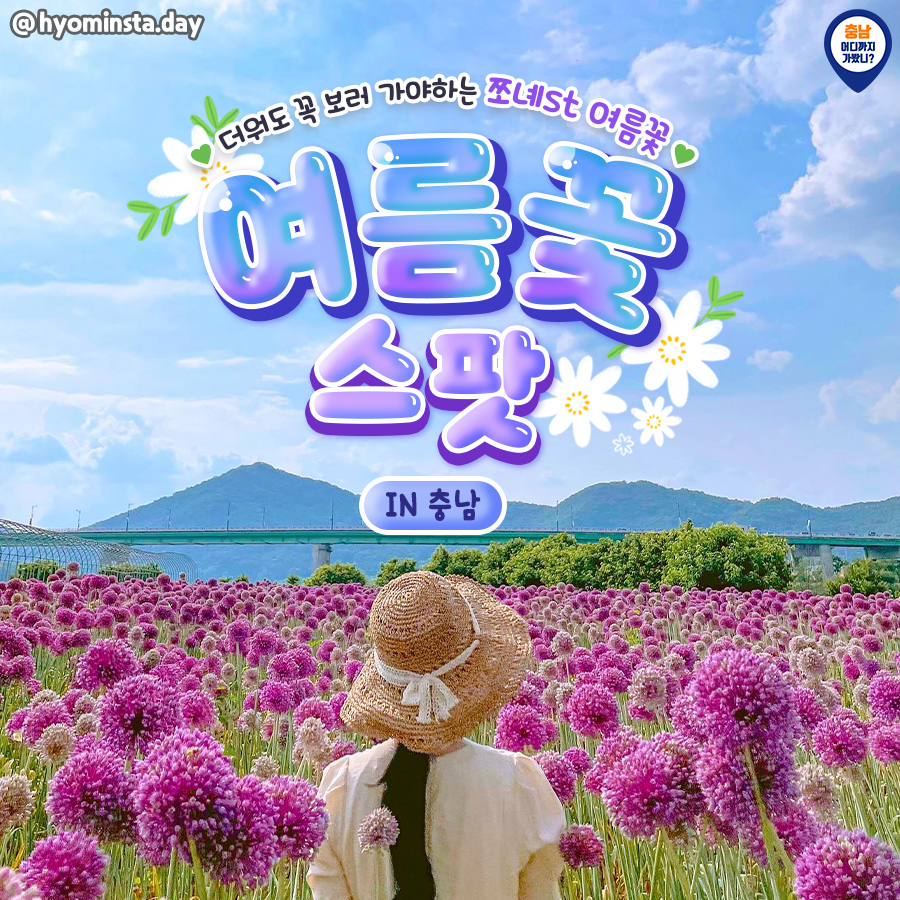  여름 휴가! 충남으로 계획 하셨다면 참고하시면 좋겠습니다.(꽃구경 가즈아!)
