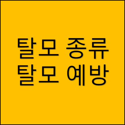 탈모 종류 탈모 예방 썸네일