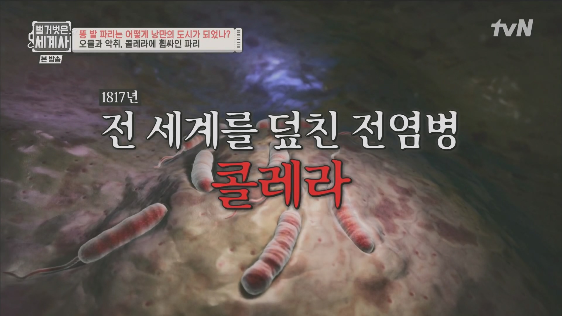 벌거벗은 세계사.E96.230425p.H264-F1RST.mp4_20231125_174528.342.jpg