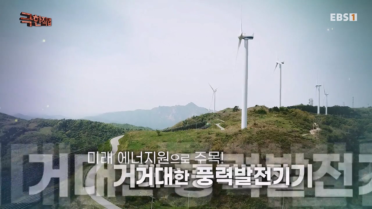 TV - 전 국민의 평생학교 EBS추락 공포와 맞서다! 고공 작업자.mp4_20240604_204115.858.jpg