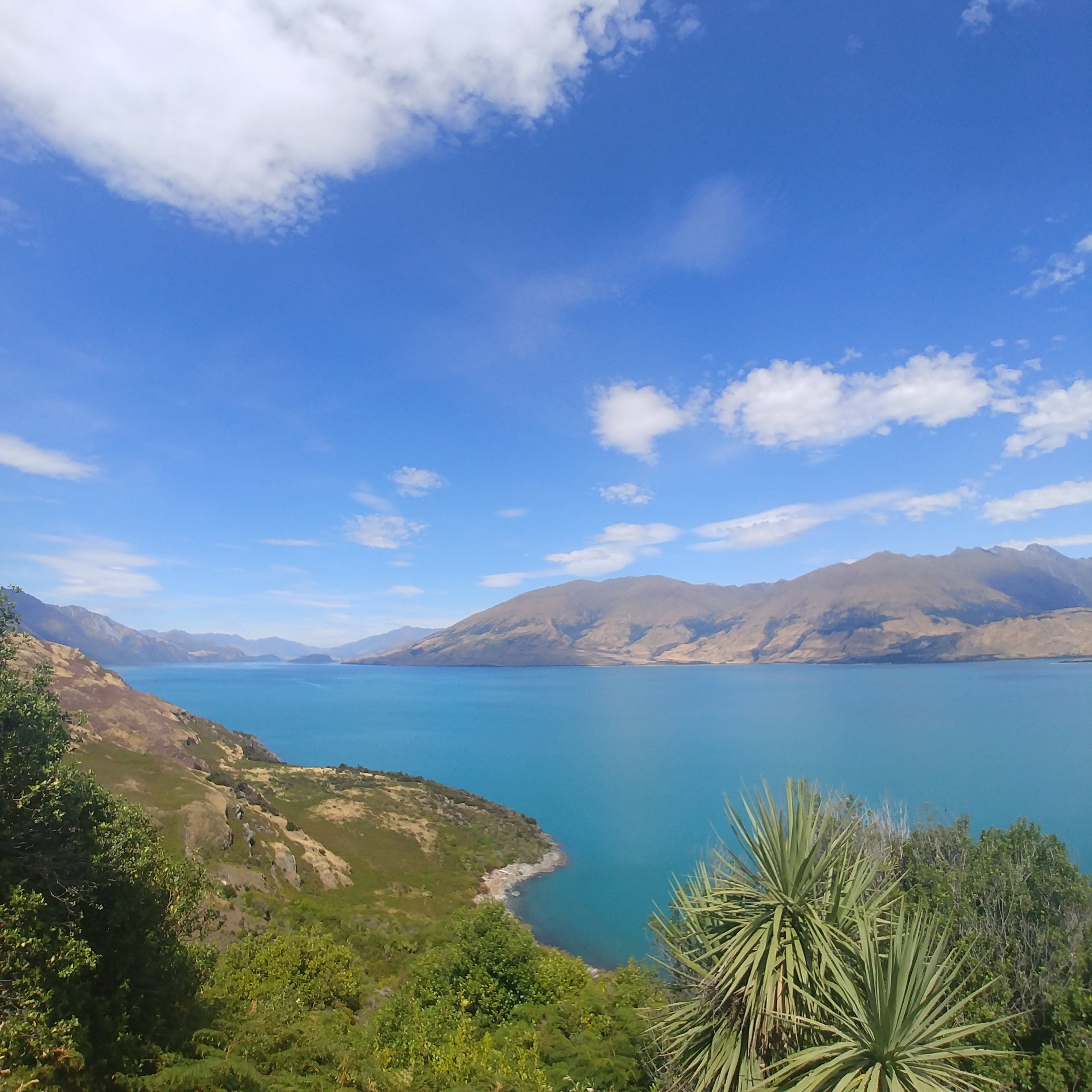 뉴질랜드 남섬 여행 와나카 호수 전망대 Lake Wanaka Lookout
