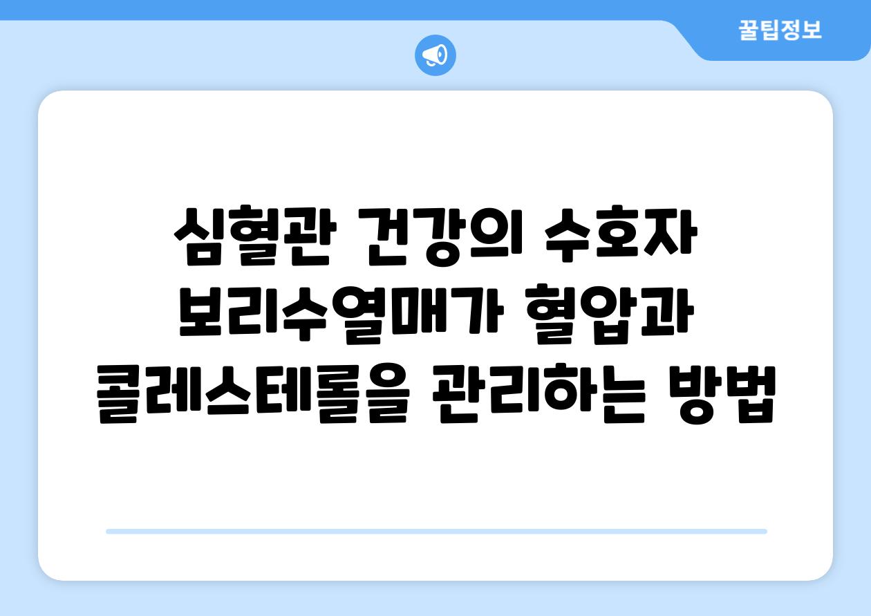 심혈관 건강의 수호자 보리수열매가 혈압과 콜레스테롤을 관리하는 방법