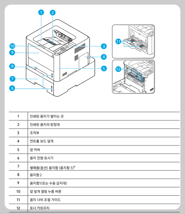 앞모습