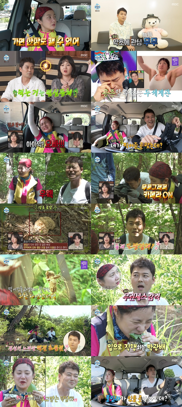 MBC ‘나 혼자 산다’: 전현무와 박나래의 산삼 헌터즈 모험과 샤이니 키의 마켓 프린스 변신