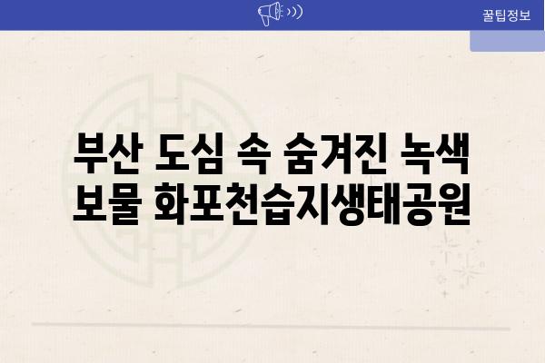 부산 도심 속 숨겨진 녹색 보물 화포천습지생태공원