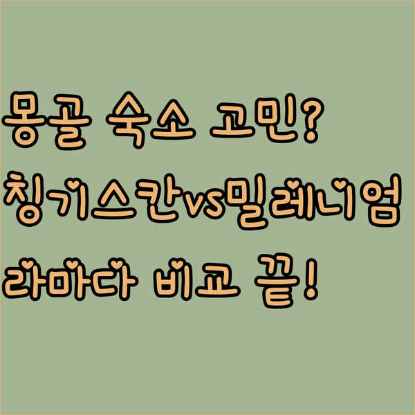 울란바토르 숙소 고민 끝! 칭기스칸 