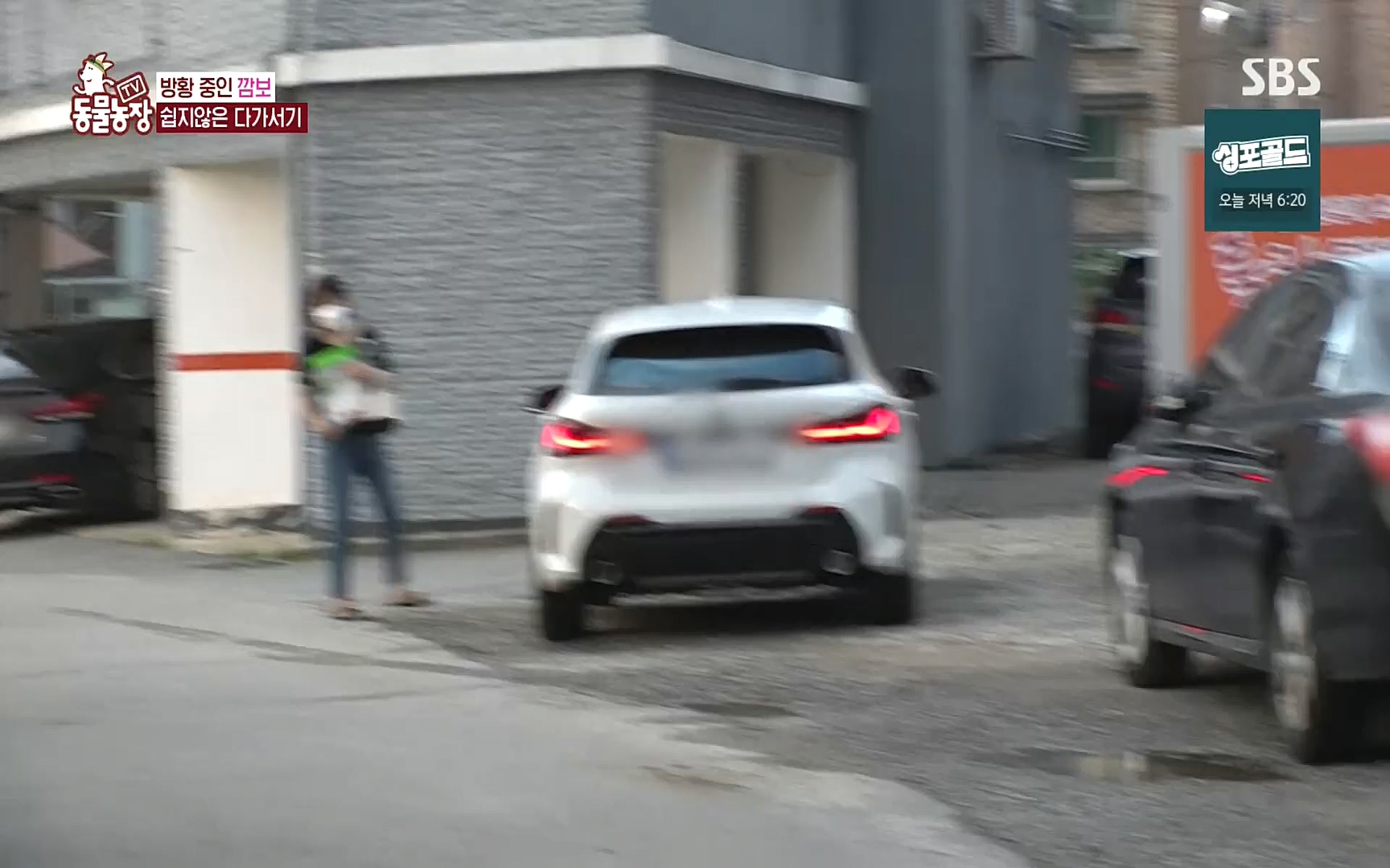 TV 동물농장.E1089.221002p.H264-F1RST.mp4_20221002_181932.582.jpg