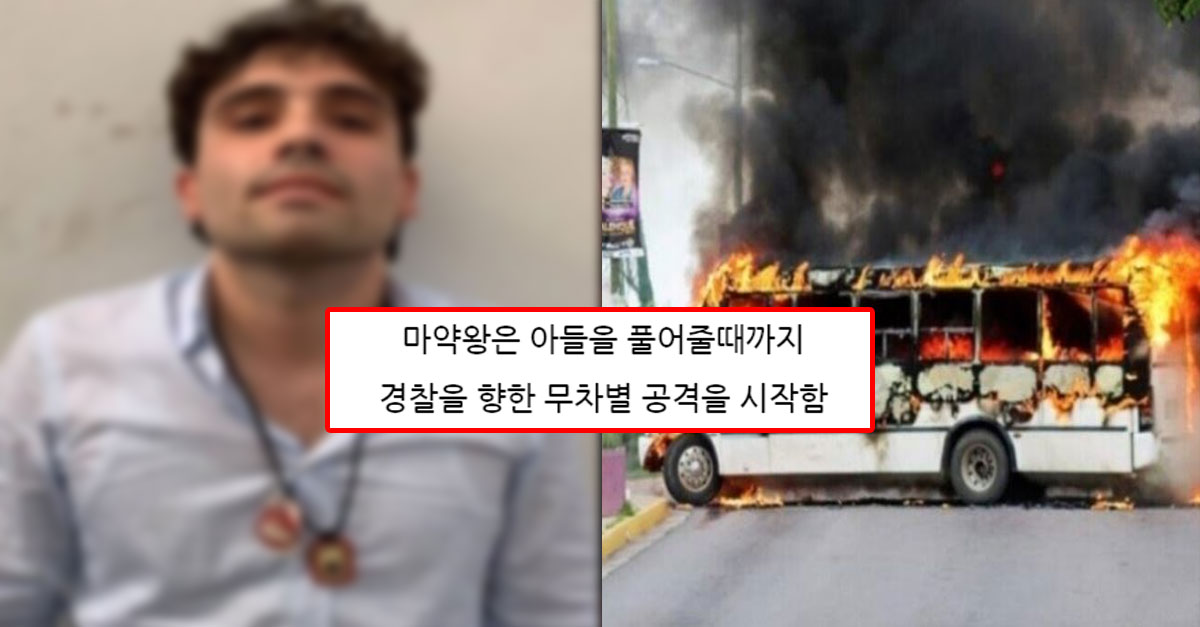  멕시코 경찰이 마약왕의 아들을 체포했더니 생긴 일 ㄷㄷ