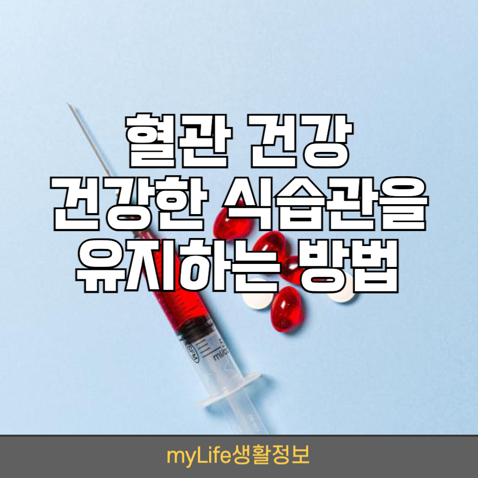 관에 지방이 쌓이면 큰일