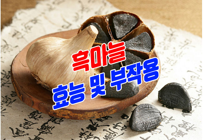  흑마늘 효능 부작용