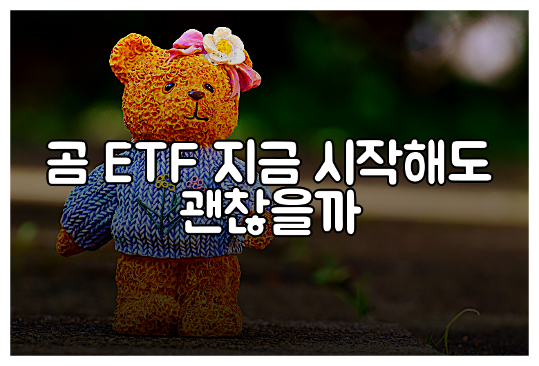 곰 ETF 지금 시작해도 괜찮을까