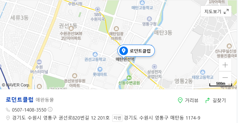 수명, 필수사항 알려드립니다. 골든햄스터 분양 및 10