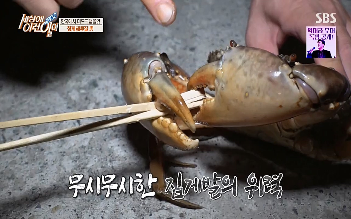 순간포착 세상에 이런일이.E1195.220831p-NEXT.mp4_20220831_201230.396.jpg