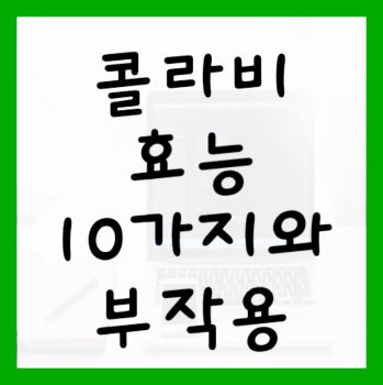 콜라비-효능-10가지-및-부작용-대표사진