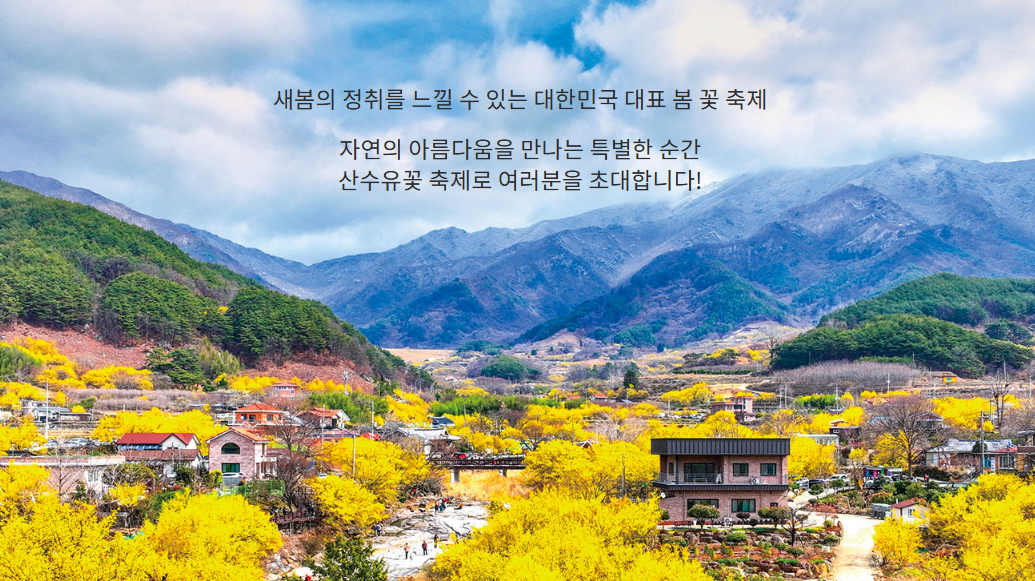 구례 산수유꽃축제 기간