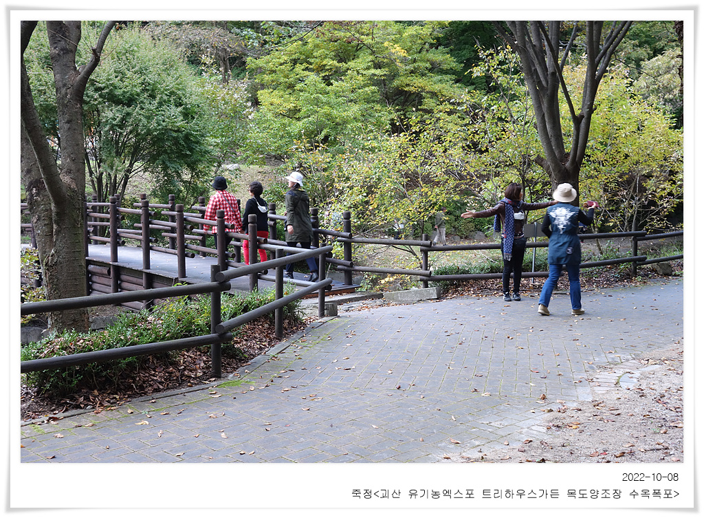 괴산트리하우스가든 이미지
