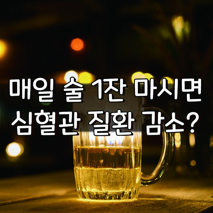   매일 술 1잔 마시면, 심혈관 질환 사망 위험 20% 감소