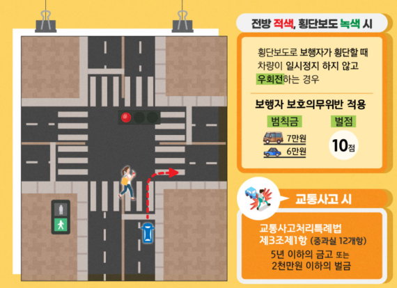  우회전 신호위반 기준