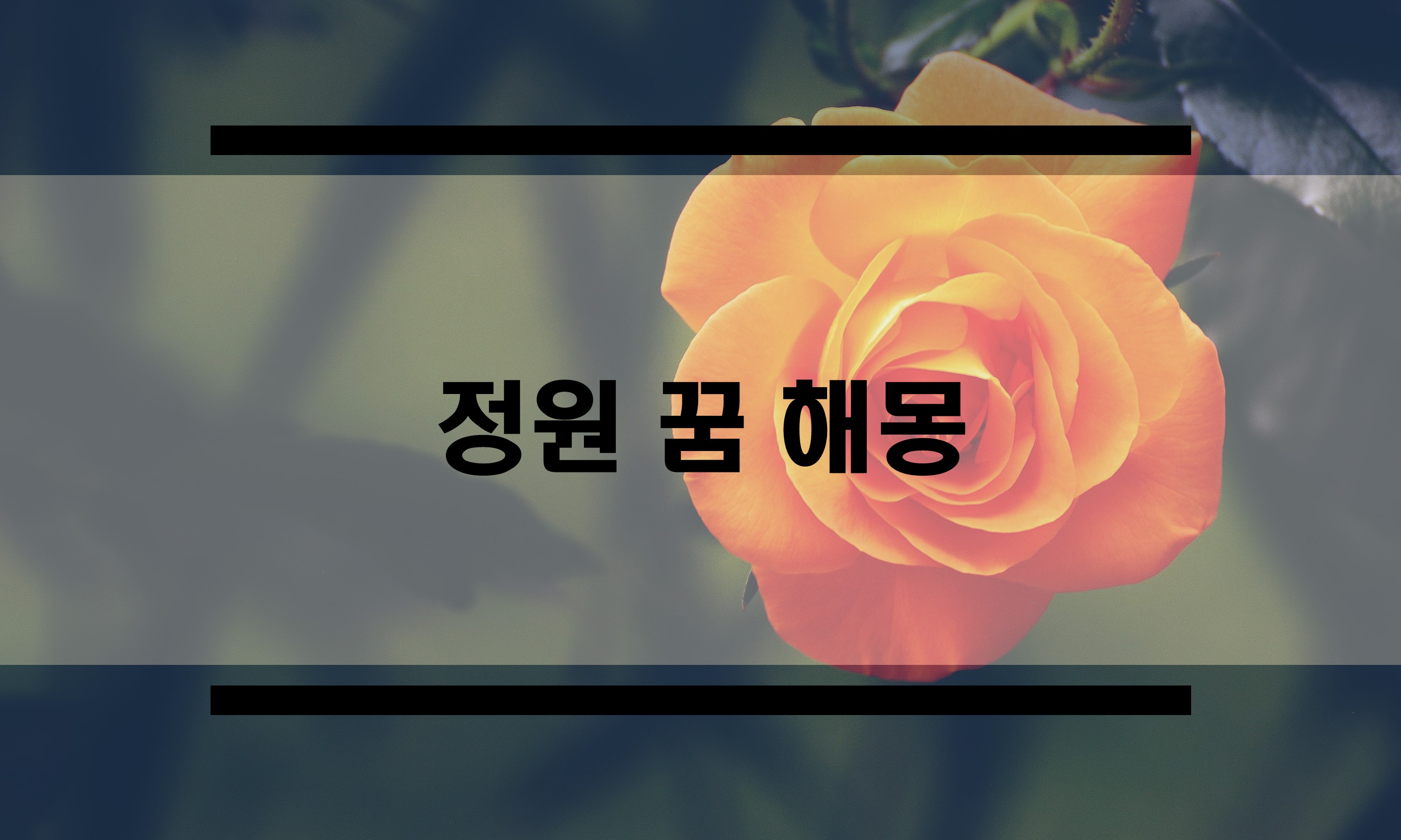  정원 꿈 해몽 정리