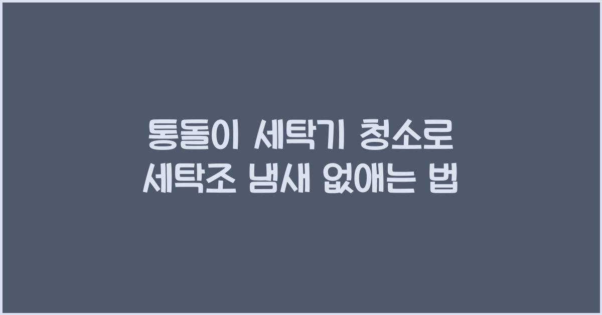 통돌이 세탁기 청소