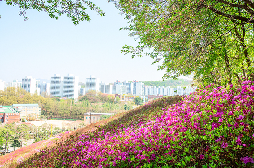 군포철죽동산