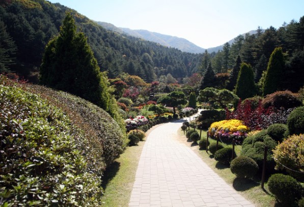 황학산 수목원 이용정보