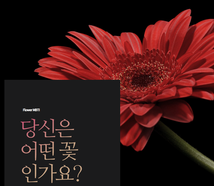  꽃 MBTI 테스트 여기서 하세요!