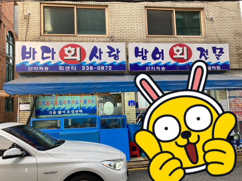 바다회 이미지