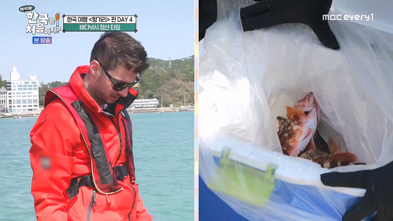 어서와 한국은 처음이지 시즌2.E319.240621p-NEXT.mp4_20240621_202705.006.jpg